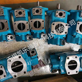 4525VQ50A25,4525VQ50A21双联叶片泵 压铸机油泵 注塑机油泵