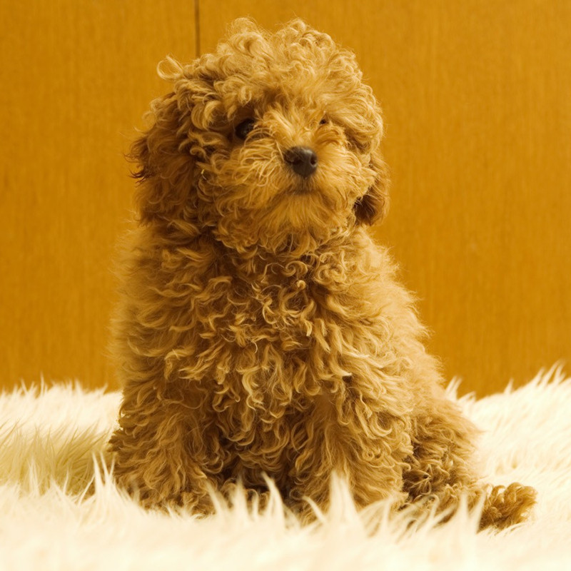 1-131211104015_副本