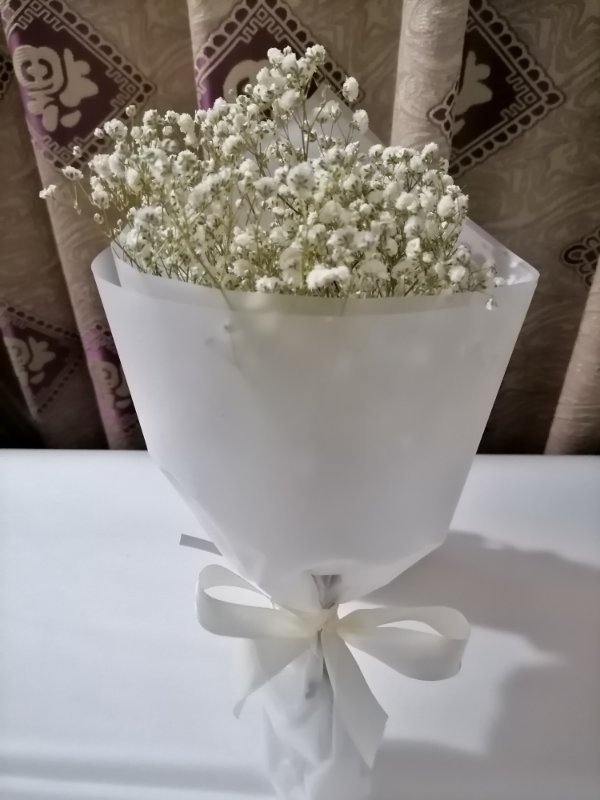Ramo de Flores Secas de Rosa y Eucalipto para Regalos y Fotografía image 23