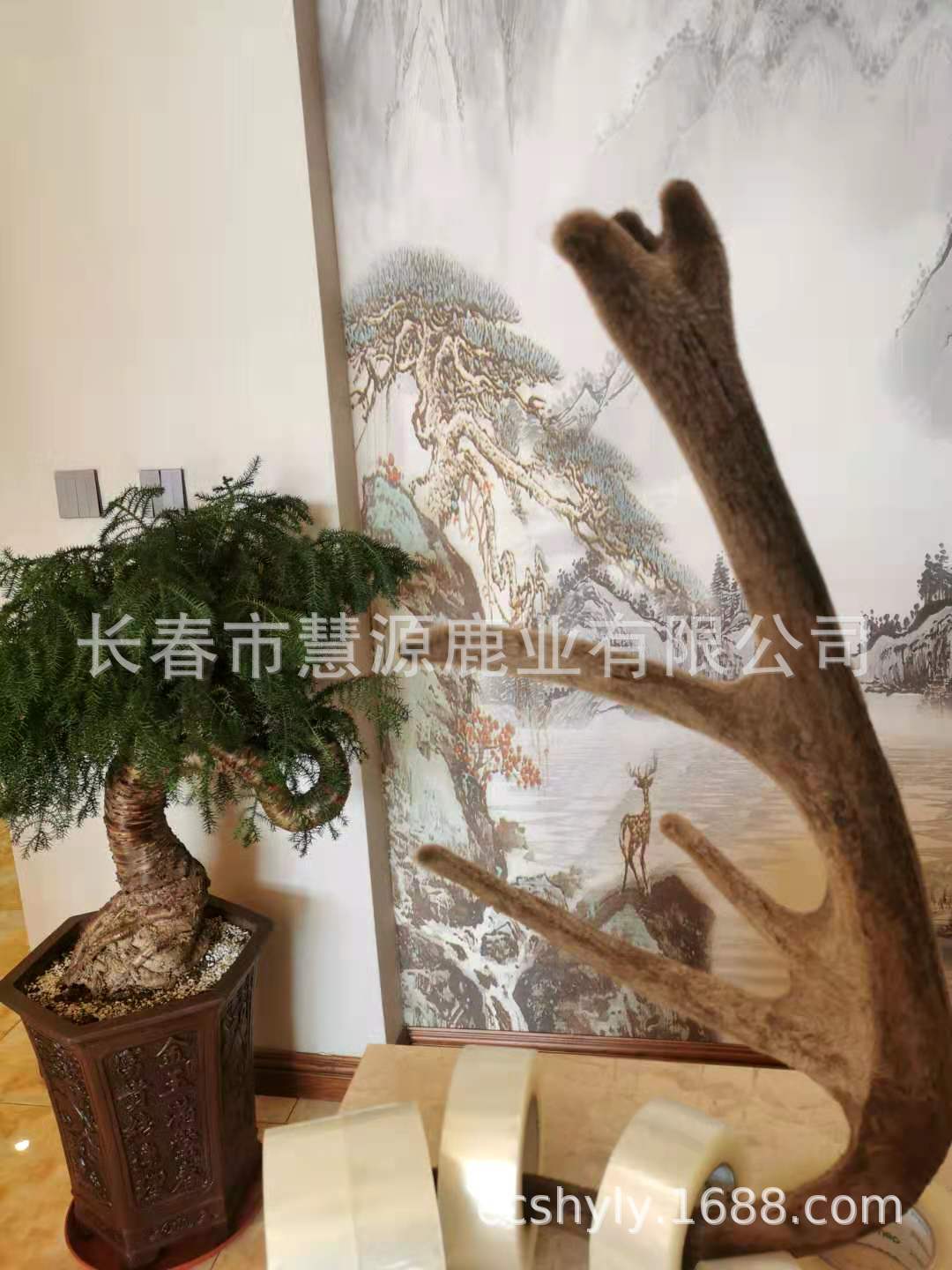 微信图片_2020112114243337