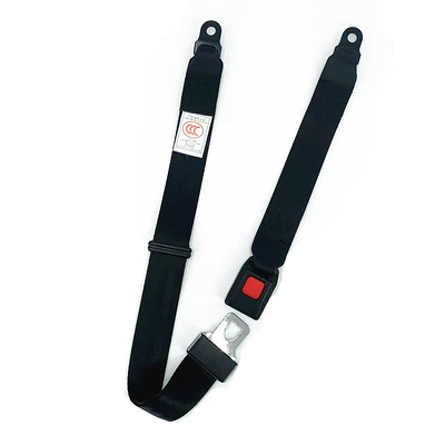 Buses, Two-Point Seat Belt, Car seat belt