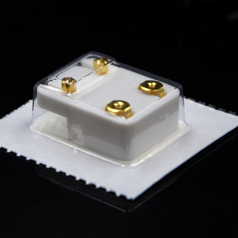 10962599827_1814362269