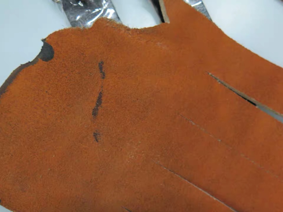 IMG_1017(20200515-173943)