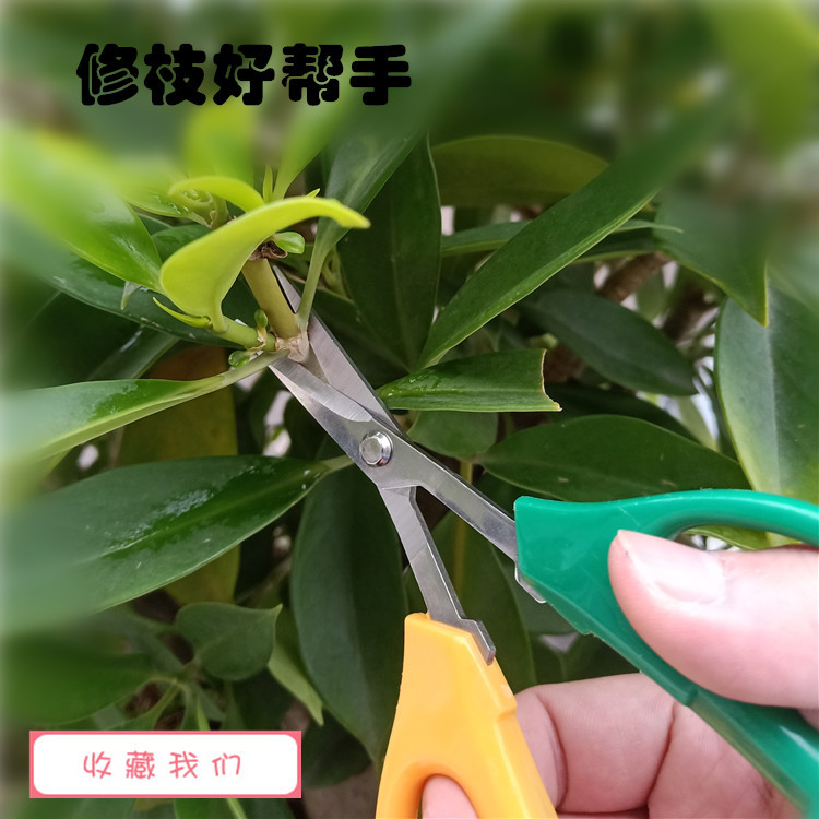 QQ图片20200324140957_副本