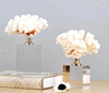 Office desktop a decoration a living room Entrance TV cabinet Wine cabinet white crystal Coral Decoration Home Furnishing ornament