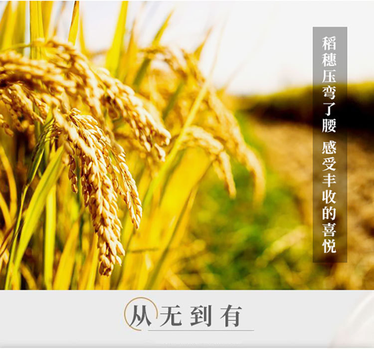 茉莉香米详情页_08