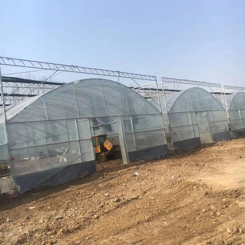 连栋大棚 外遮阳连栋大棚 智能温室连栋大棚 支持制作