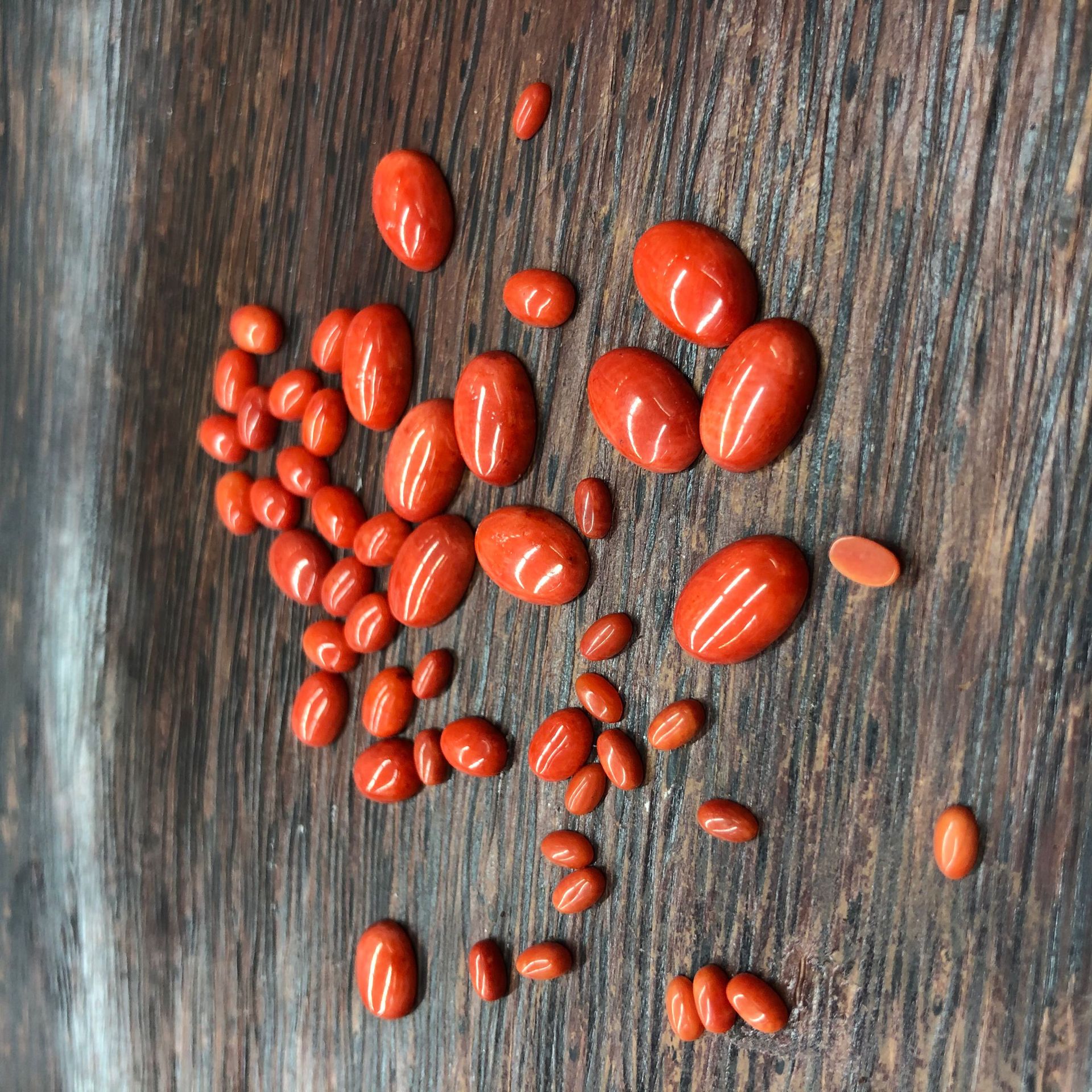 F41B12F2BA7CC4B0D14C5954C0E701