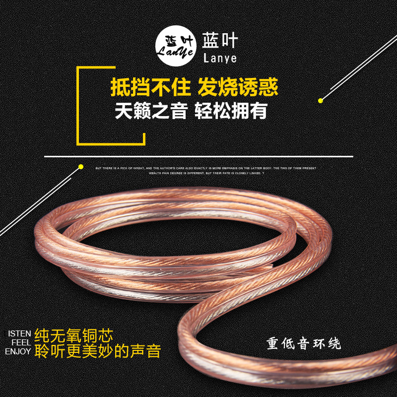 Blue leaf audio wire connection line professional stage fever speaker wire speaker wire pure copper loose wire 200 600 core