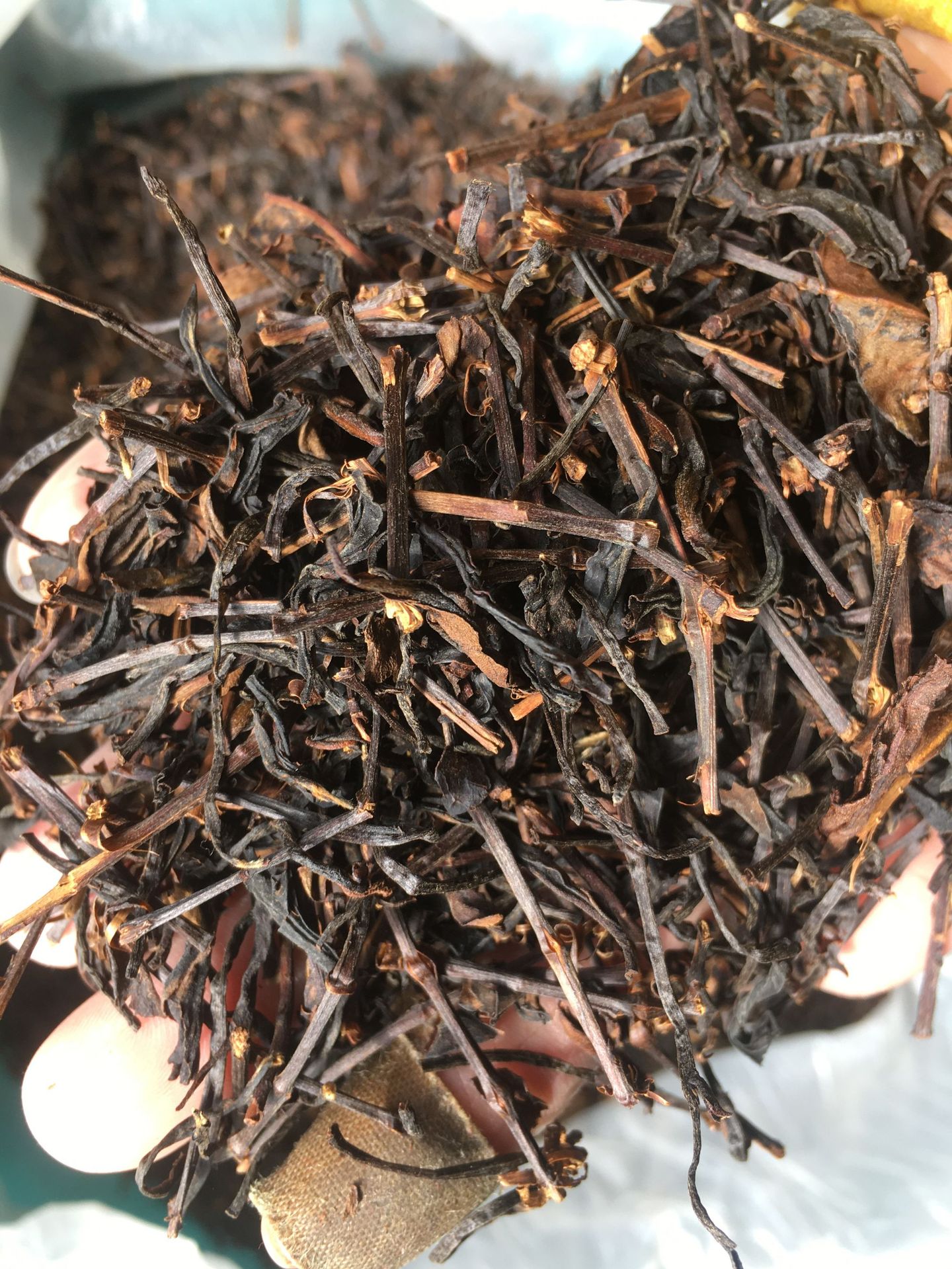 mountain tea