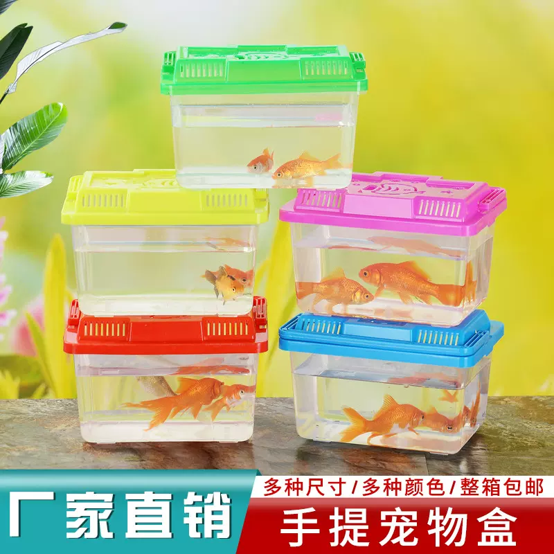 大中小号手提塑料鱼缸乌龟缸龟缸水龟缸龟箱塑料缸两栖乌龟缸批发