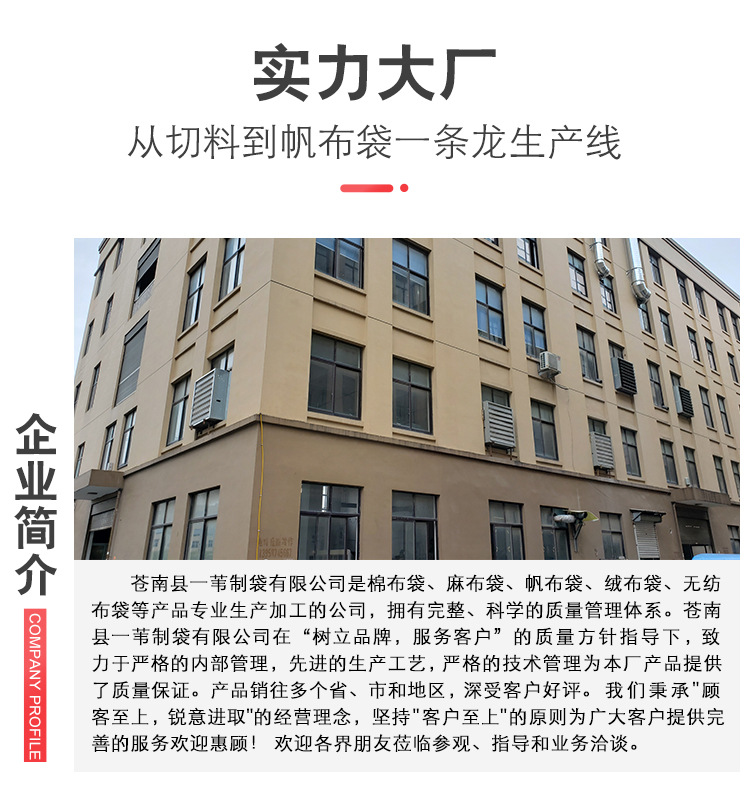 厂家束口帆布手提袋 纯色空白学生补习棉布袋 帆布包LOGO设计图案详情4