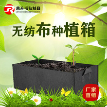 �o�����Nֲ��������ֲ���Ӻ��̨�N�˻����߹�ľ����@�羳���N