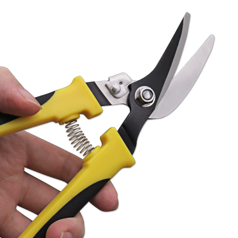 Scissors, wholesale