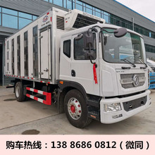 山东省东风多利卡猪苗恒温运输车畜禽活鸡苗保温冷藏车厂家价格