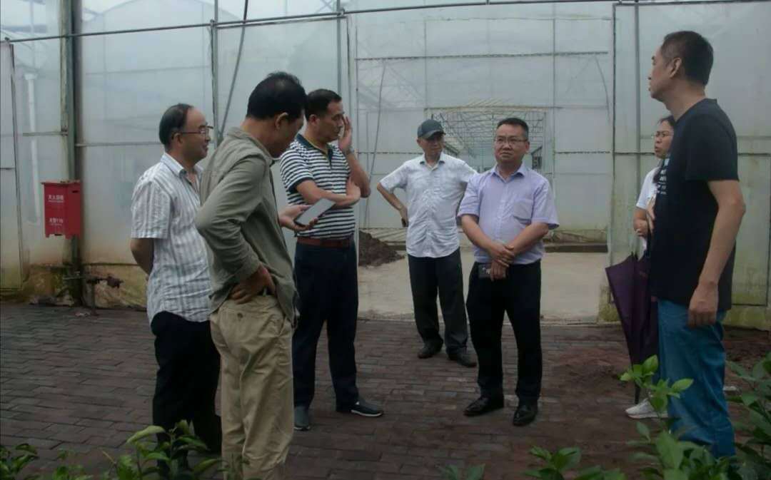 Золотая осень 10