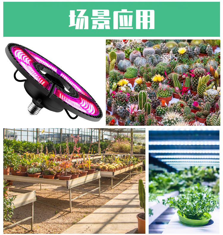 变形金刚-植物灯B款(阿里巴巴)-(红蓝灯珠-)详情页_12