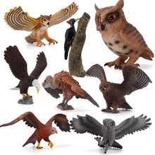 野生動物兒童科教認知飛禽鳥類模型 仿真貓頭鷹啄木鳥雕擺件玩具