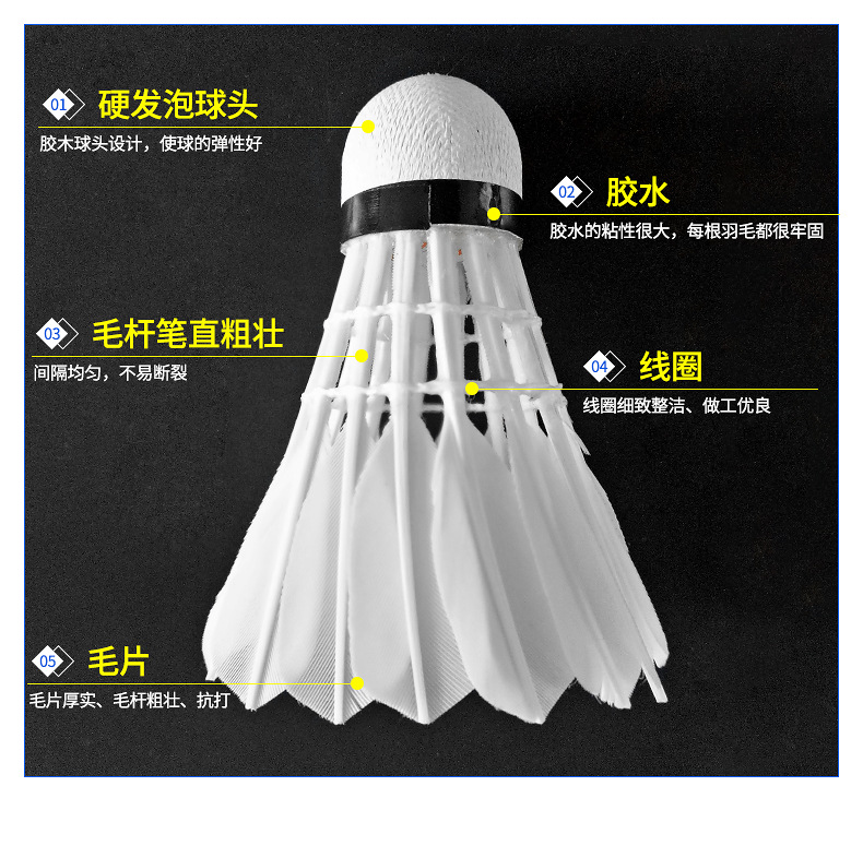体育用品一件代发市场动态与分析