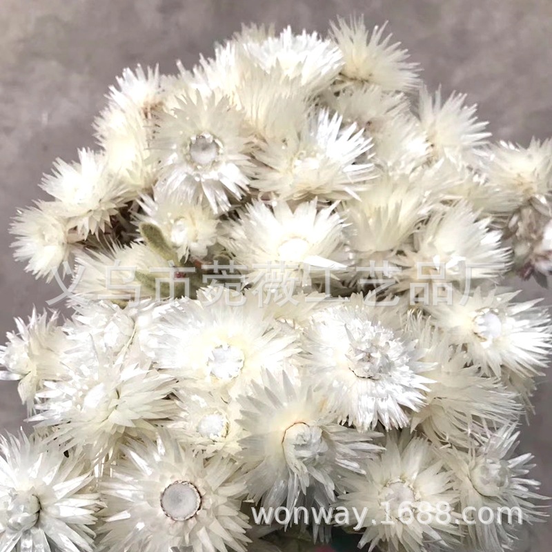 微信图片_20200410120049