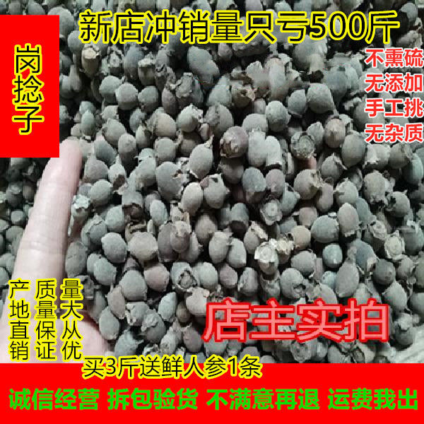 菍子干岗捻仔岗稔仔菍山捻子果桃金娘泡酒500g克包邮