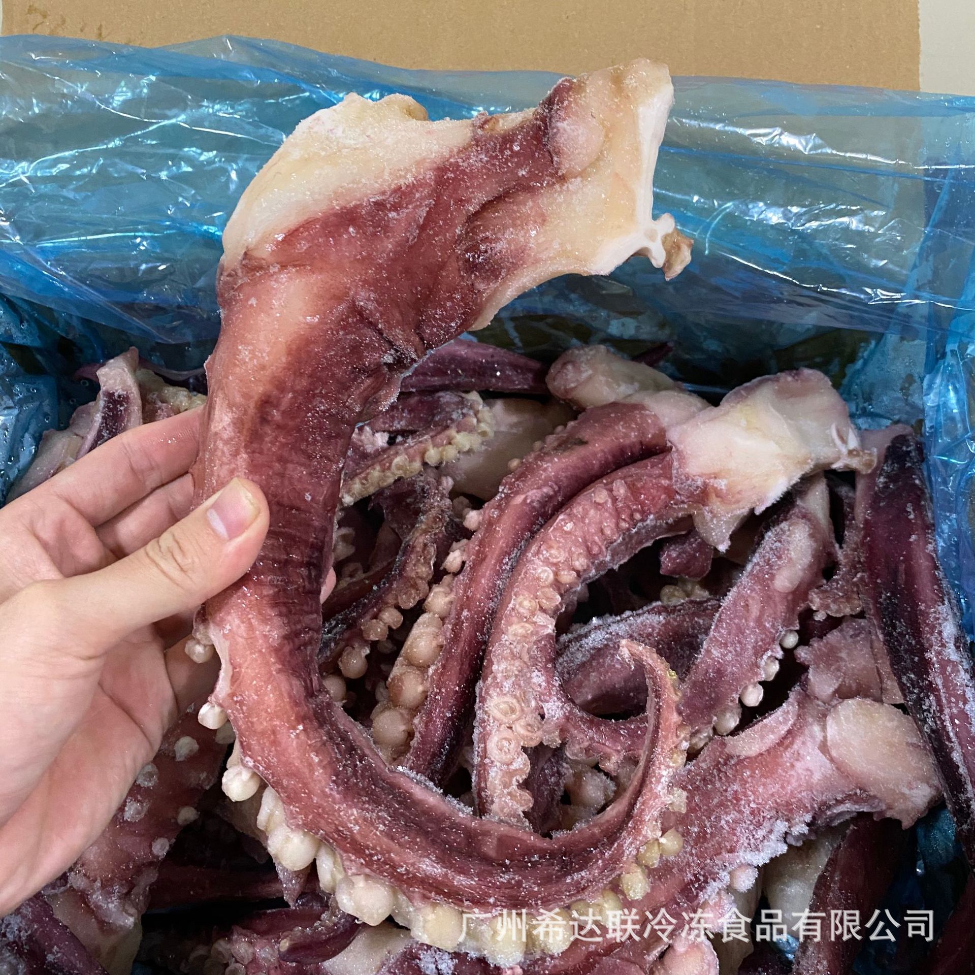 章鱼冷冻批发