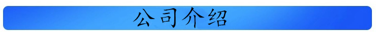 公司介绍