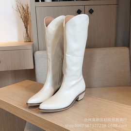 跨境欧美外贸大码个性长靴女2020秋季新款简约粗跟尖头高筒骑士靴