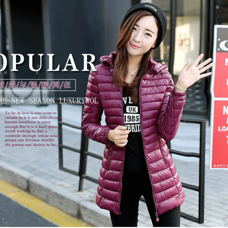 Женская длинная куртка с хлопковой подкладкой на 2023 год, Корейская приталенная облегающая пуховая куртка с хлопковой подкладкой, тонкая куртка с хлопковой подкладкой больших размеров для студентов