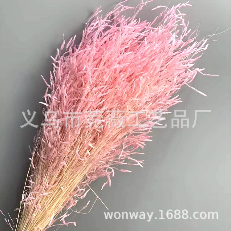 微信图片_20200209024554