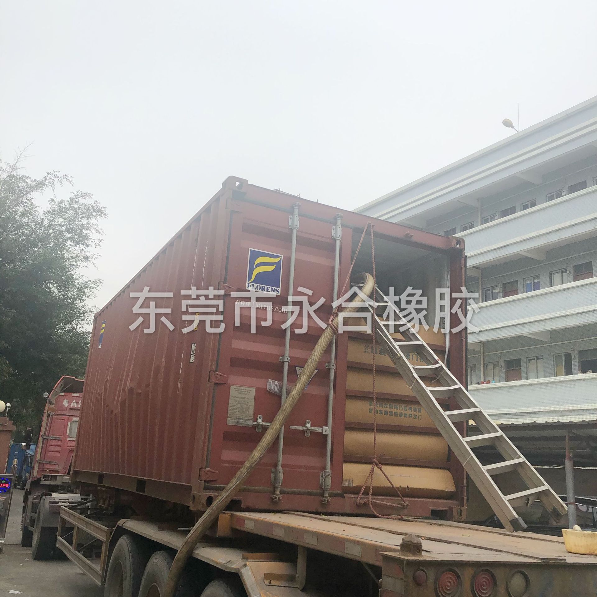 供应高州亚么尼亚胶/干胶含量足60%以上