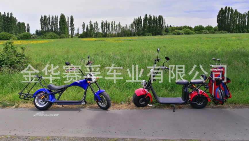 golf Harley electric car two-seater Harley electric motorcycle golf two-wheeled wide tire battery car