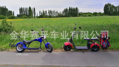 battery car, Elektrikli motosikletlər
