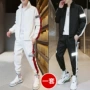 新款运动立领春季春装