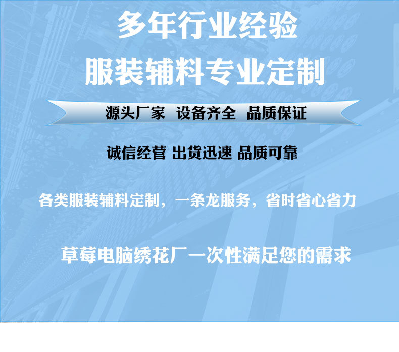 电脑绣花标毛巾绣金边英文字母徽章补丁贴服装辅料雪尼尔刺绣布贴详情1