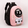 12 -hole eye cat pink
