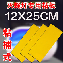 ճxωճʽωճßճωճx͏dω