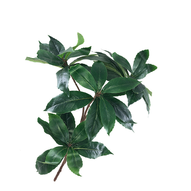 XRB-234 新木荷叶四叉枝0.45米.jpg