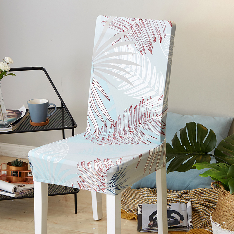 热带雨林 库存 500