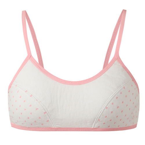 Lace Bra Pure Cotton Girl Student Bras for Girls in the Puberty Stage with No Steel Wire 