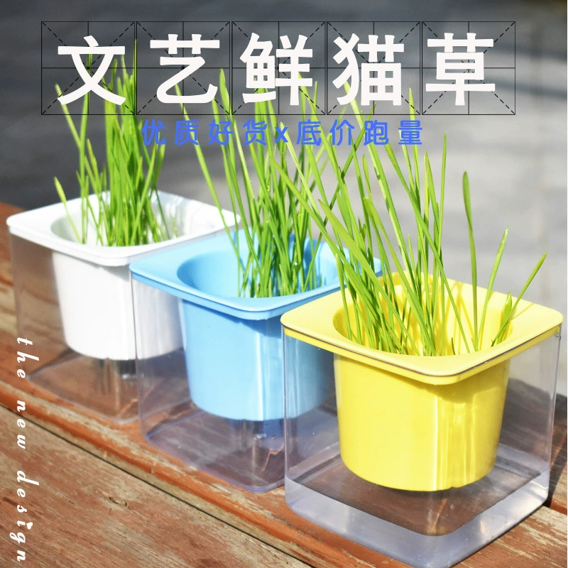 Костюм из натуральной травы для кошек Питательная почва Кошачья трава Китти помогает пищеварению и очищает рот Удаление волос Мяч Квадратная коробка Кошачья трава