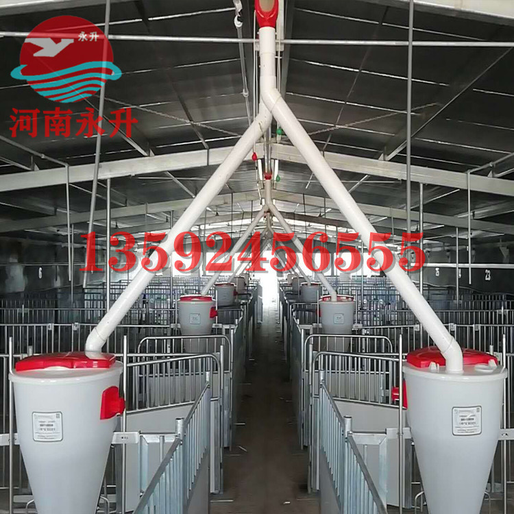 a50187e7a886ab40f516279b6249a6