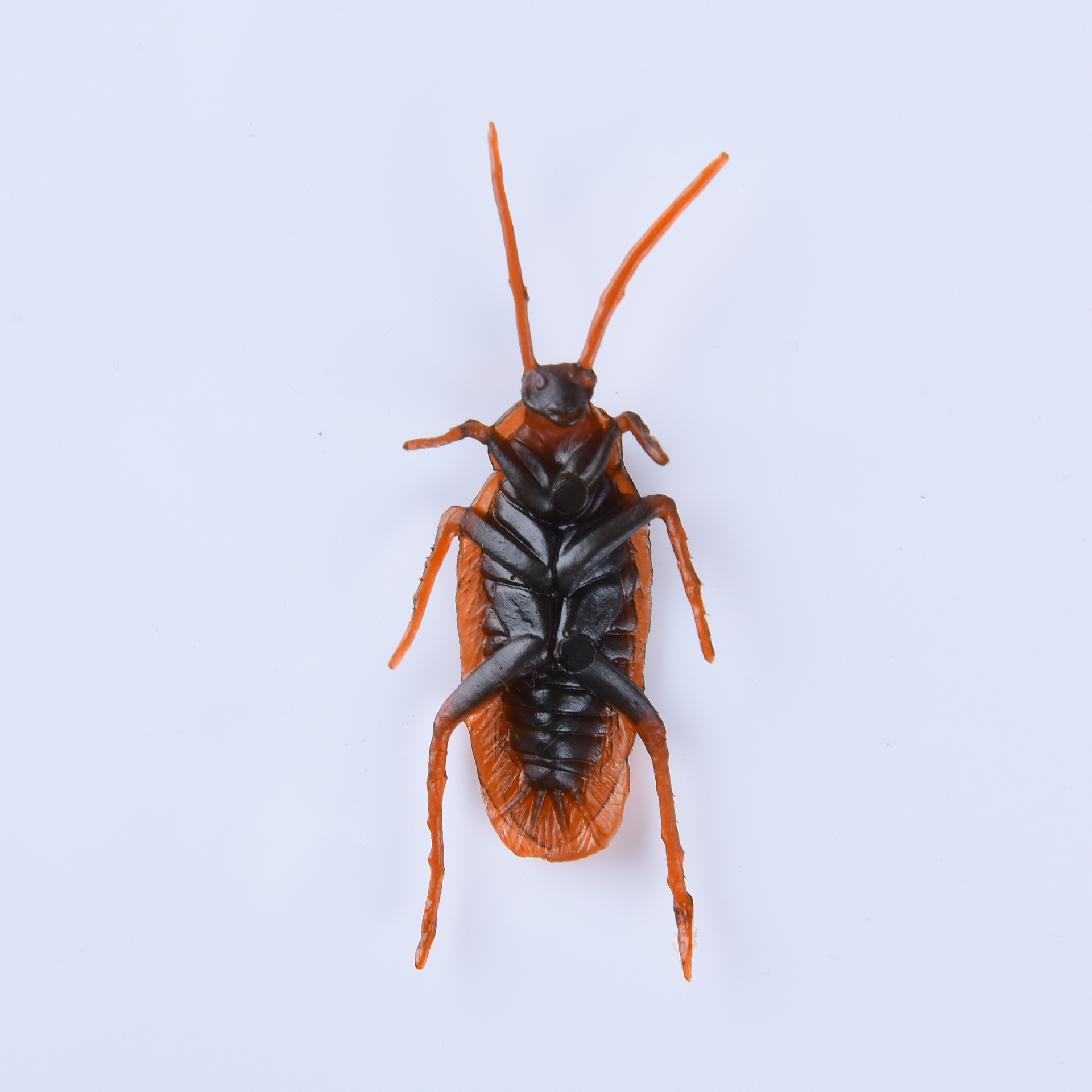 Wholesale of 1812 Cross-border prank props, including simulated flies and ants, novel and unique prank toys, and realistic cockroaches detail image 3