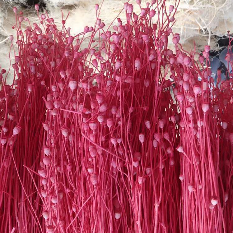 微信图片_20200102163407