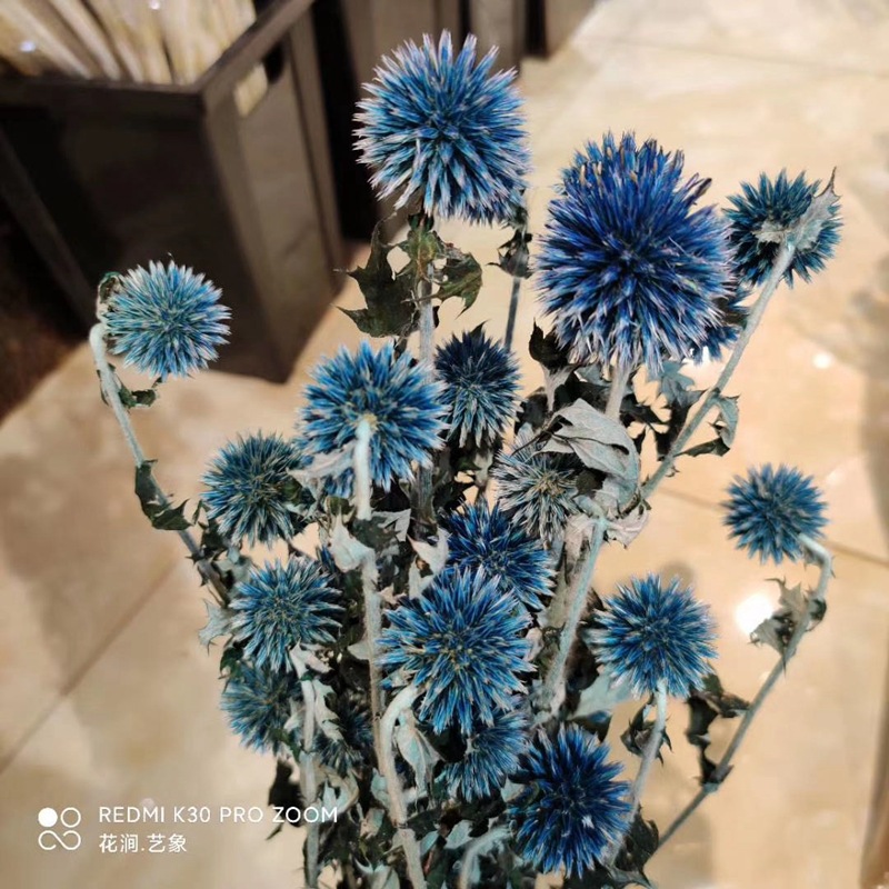 微信图片_20200717234223