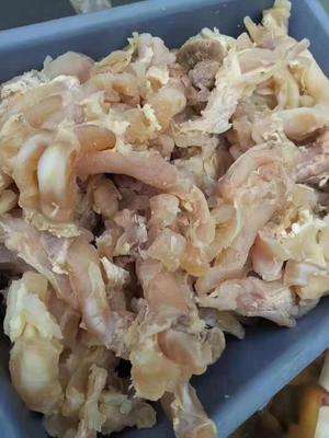 Hot Pot Ingredients wholesale Beef tendons Beef offal Beef tendons Frozen goods whole country Deliver goods Rivers and lakes Stall Best Sellers product