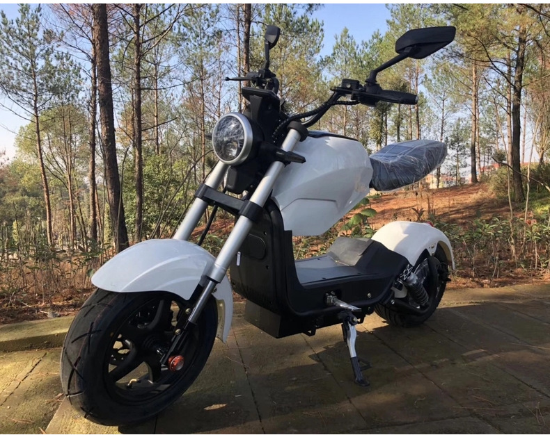 New EEC Flying Leopard Harley Motorcycle Electric Motorcycle 2000W High Power Cool Sports Car