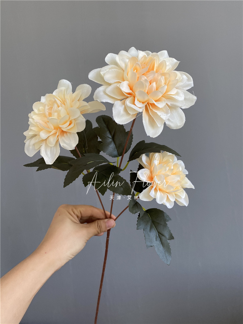 3 autumn colorful flowers