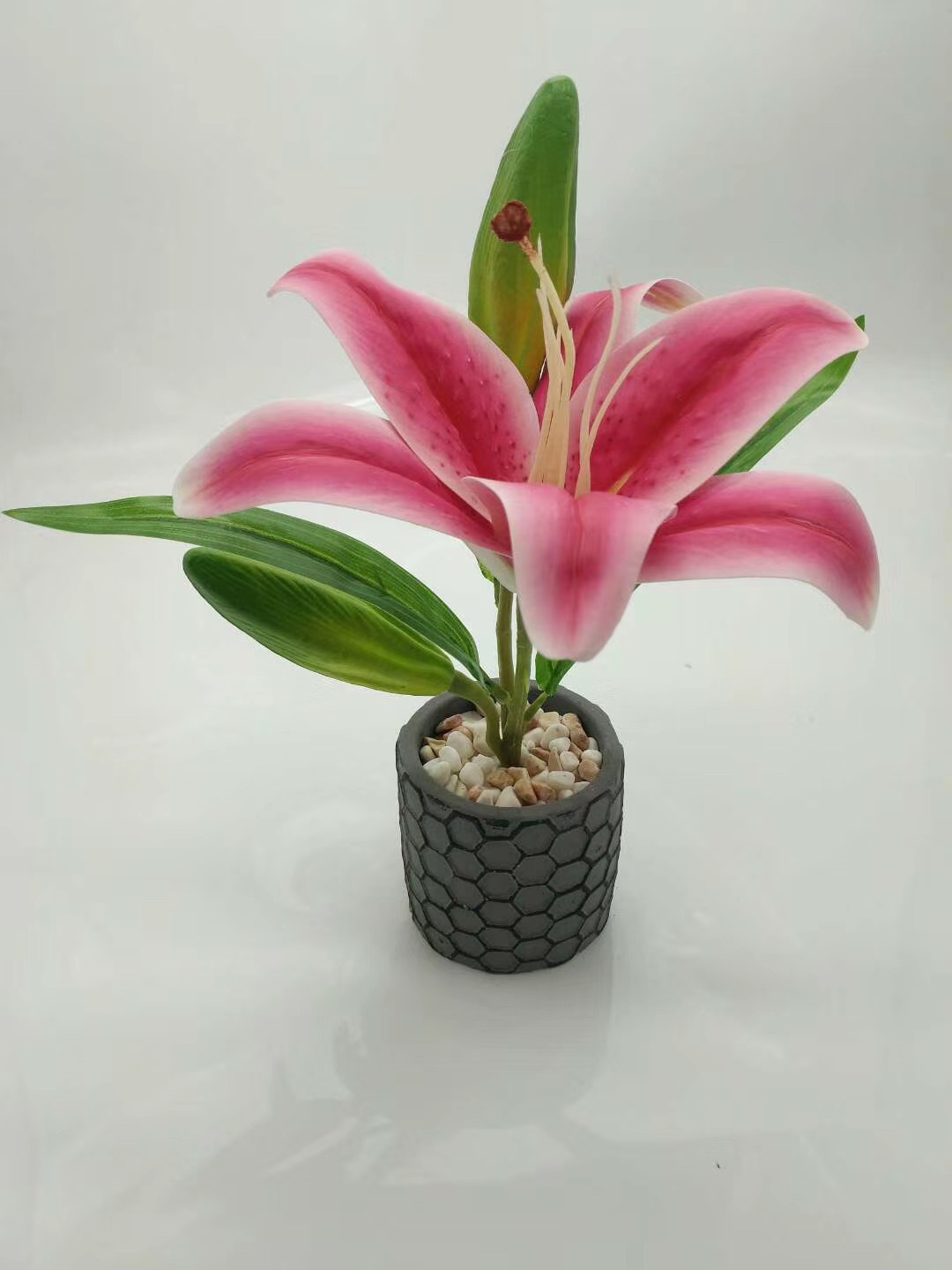 WeChat 圖片_20200704111904