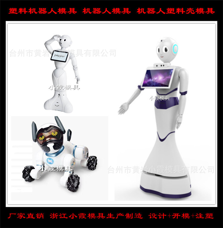 塑料机器人模具 (59)